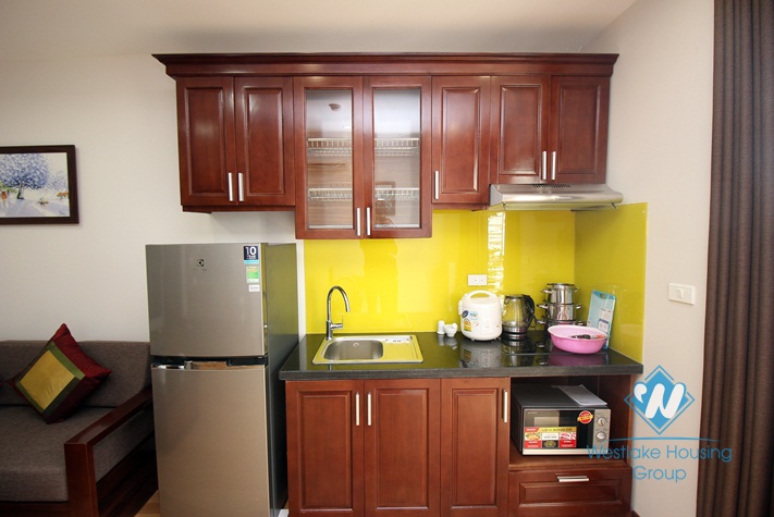 Elegant and well furnished one bedroom serviced apartment for rent in Ba Dinh